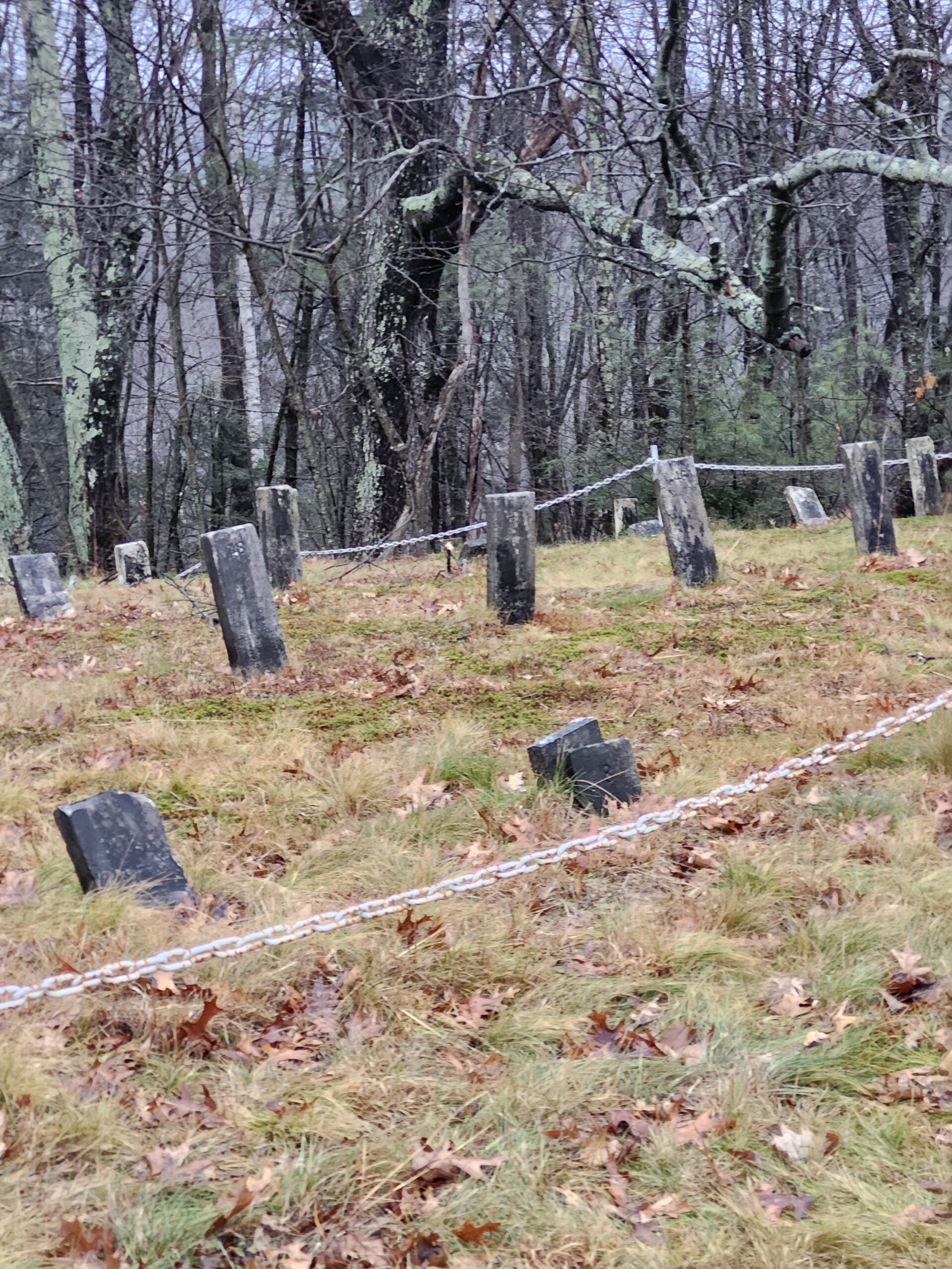 Hillsborough County Poor Farm Cemetery (aka Pine Grove Cemetery)