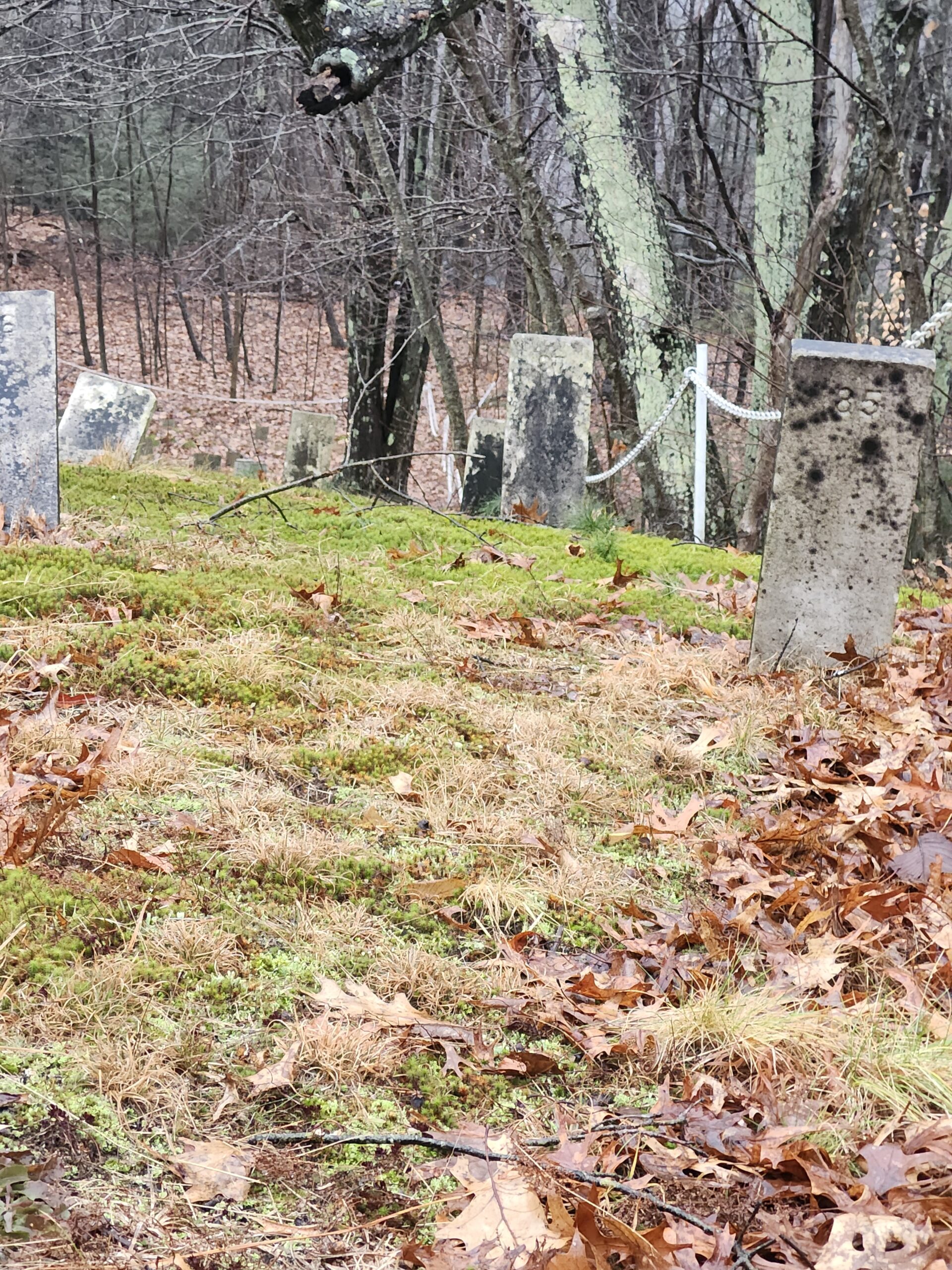 Hillsborough County Poor Farm Cemetery